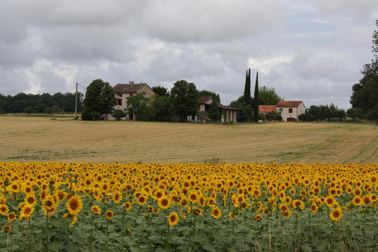 Domaine 3 Soleils Bed & Breakfast Labastide-de-Lévis Екстериор снимка